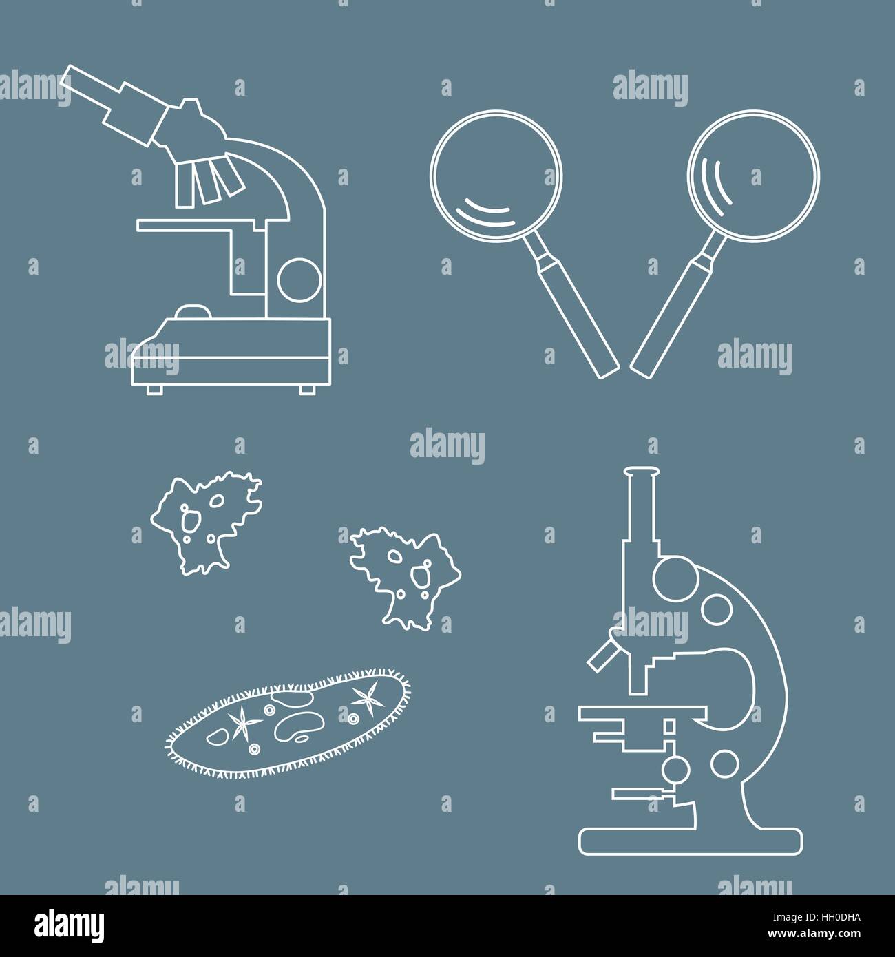 Iconos estilizados de microscopios, lupas, ameba, ciliados-zapatilla. Dispositivo de aumento signo. Símbolo de equipo de laboratorio. Ilustración del Vector