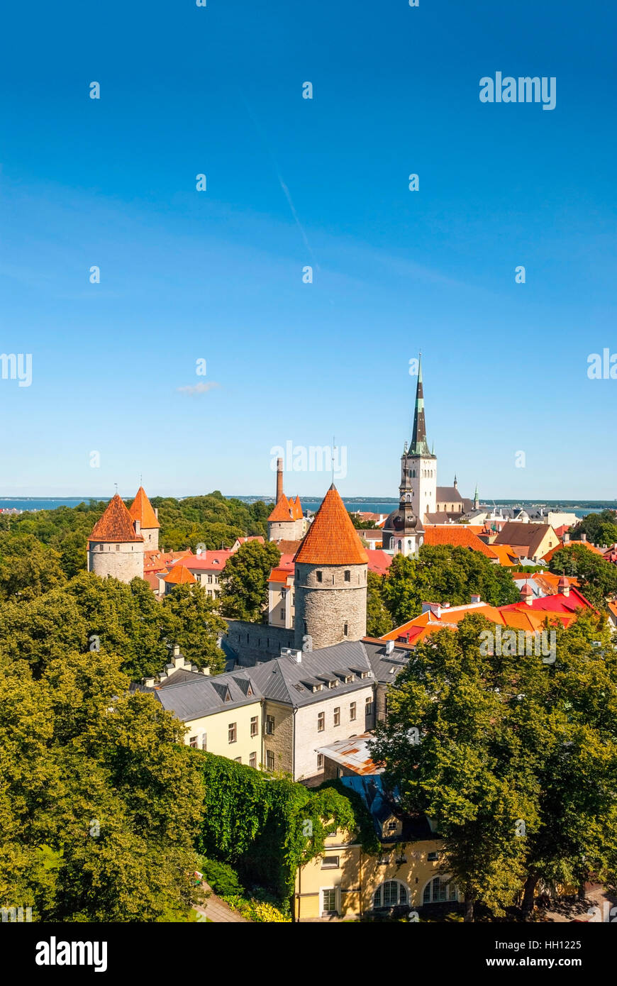 Paisaje urbano de la ciudad vieja de Tallinn con brillante luz solar, techos en Estonia Foto de stock