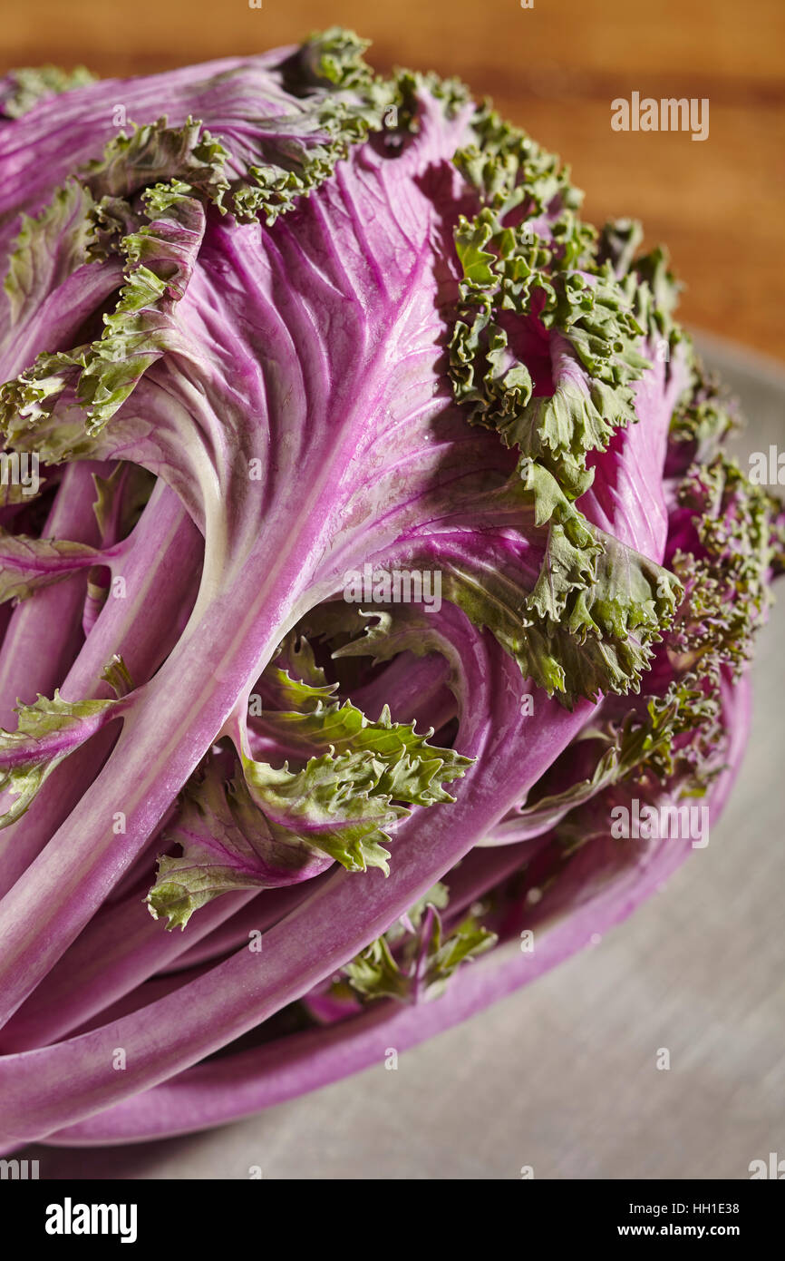 Púrpura fresca cruda, la col rizada, una temporada de hortalizas de invierno Foto de stock