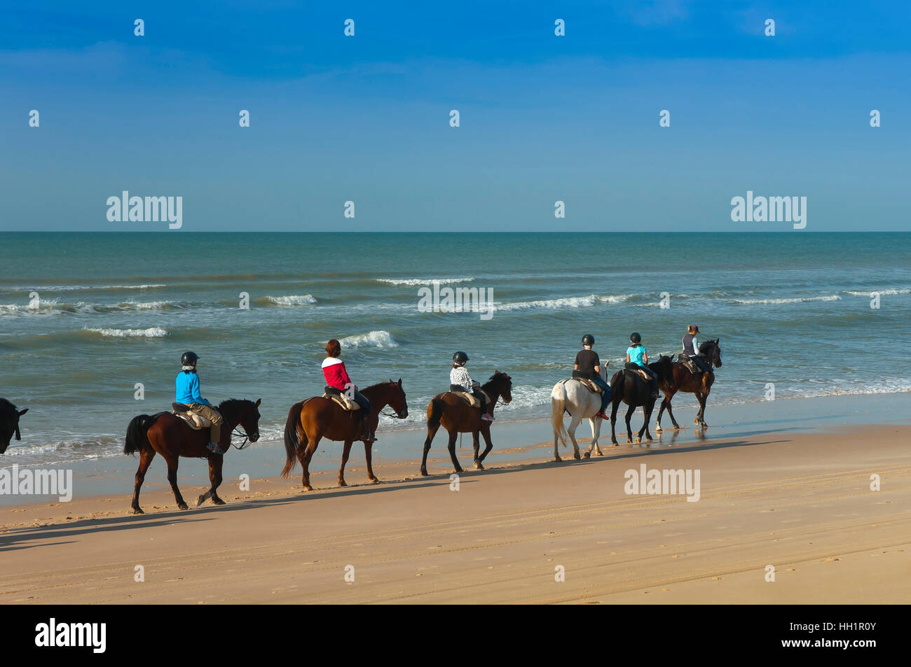 Turismo ecuestre en la playa, el Parque Natural de Doñana, Matalascañas, provincia de Huelva, en la región de Andalucía, España, Europa Foto de stock