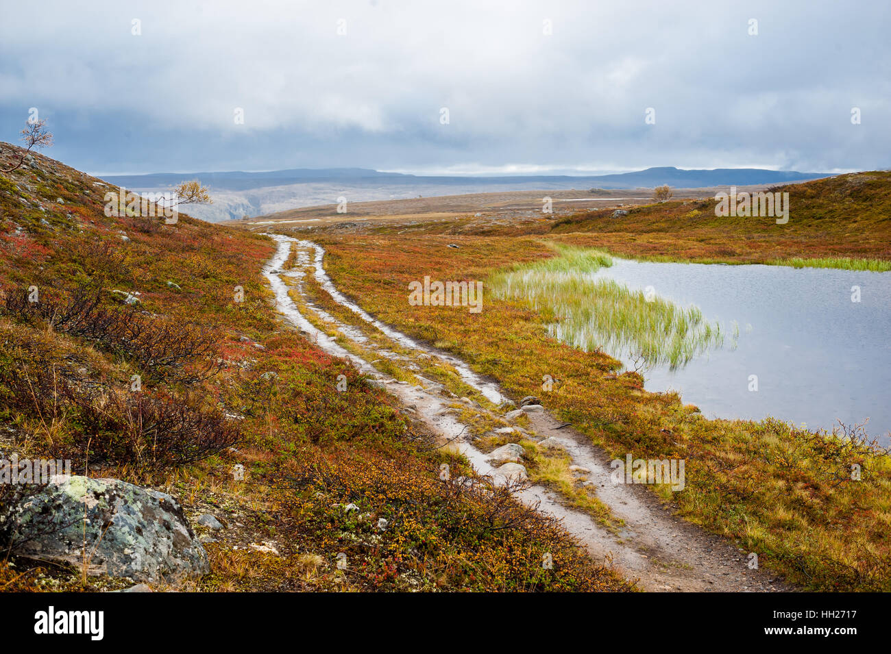 Suciedad en carretera mojada páramos suelo junto a un pequeño estanque en un desolado valle. Alta, Finnmarksvidda meseta montañosa, Noruega. Foto de stock