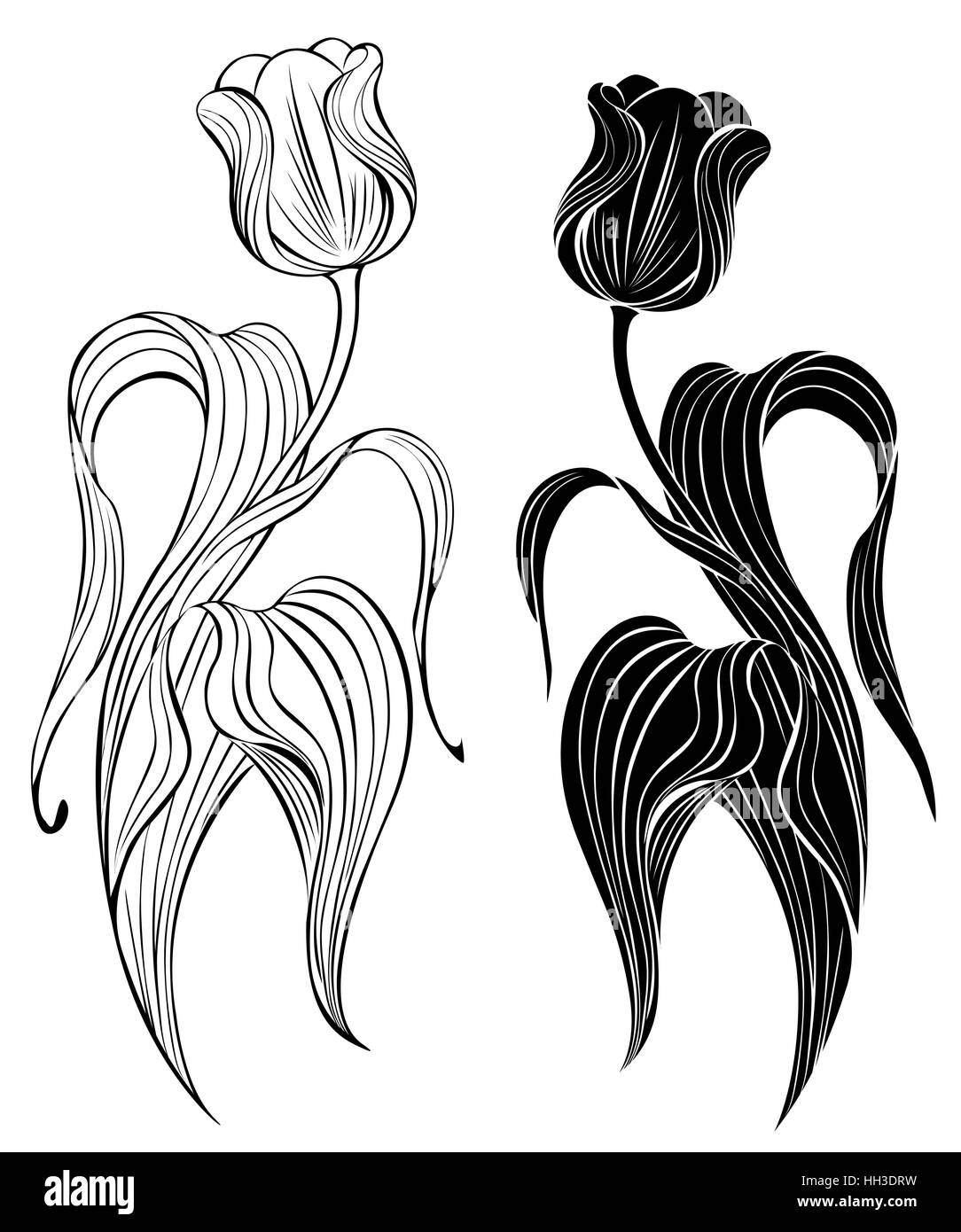 Silueta de dos artísticamente tulipanes pintados sobre un fondo blanco. Ilustración del Vector