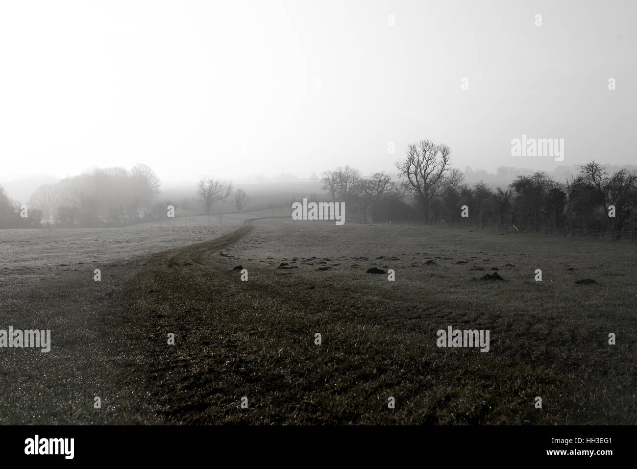 Diciembre de las orugas del tractor hacia abajo un campo con molehills misty Foto de stock