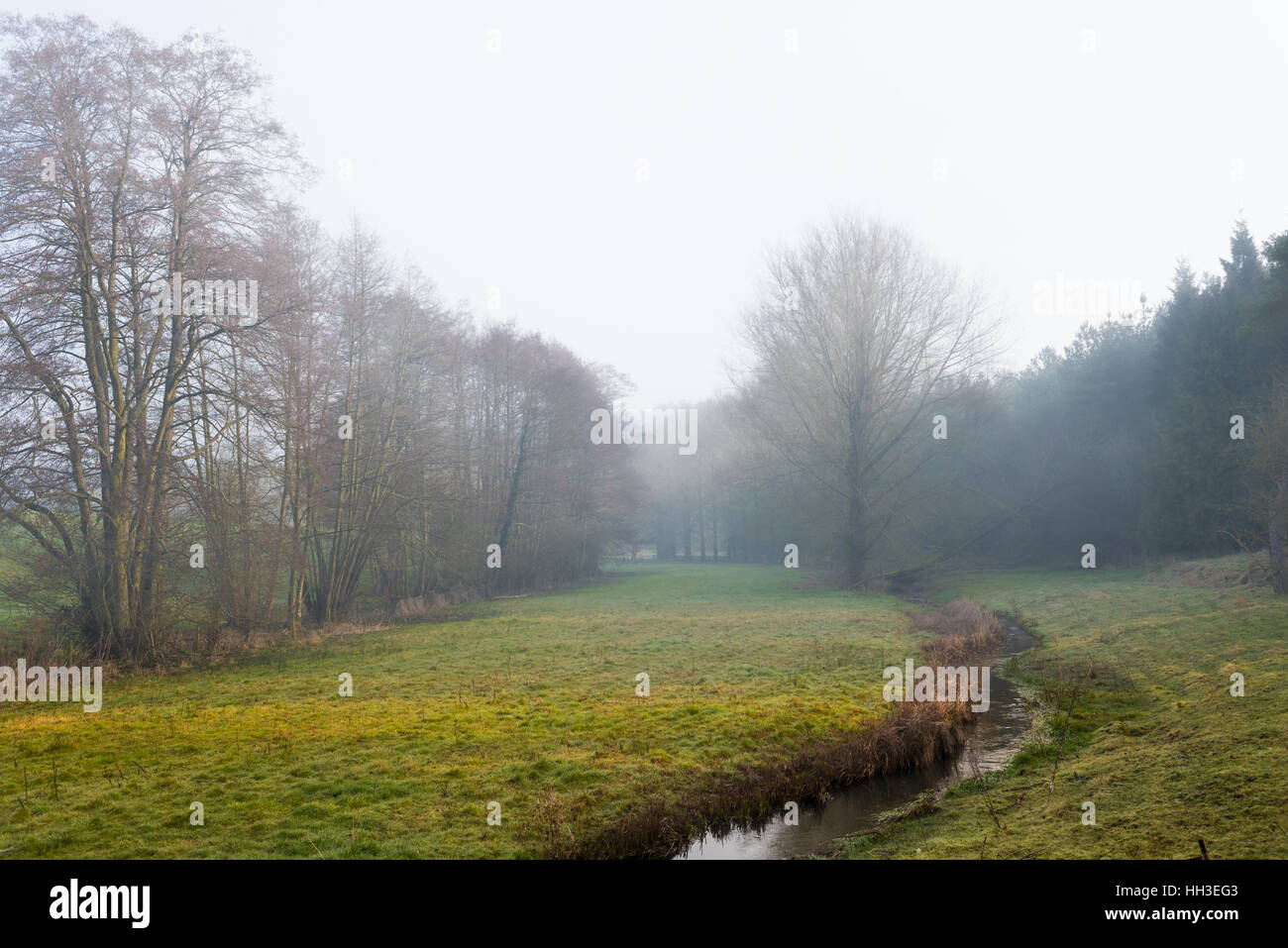 Mañana de diciembre paisaje neblinoso, arroyo y árboles Foto de stock