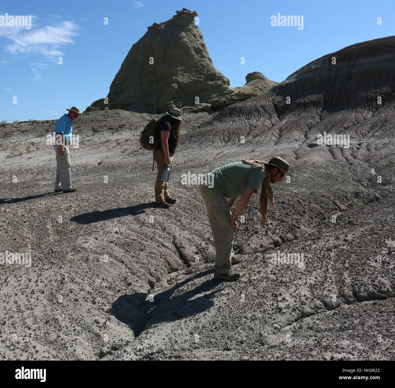 Los paleontólogos en busca de fósiles Utah Great Basin Desert Foto de stock