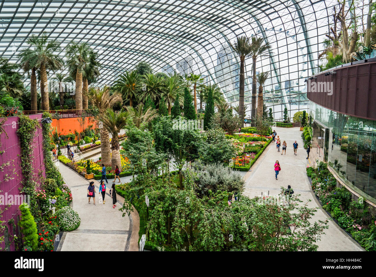 Singapur, jardines junto a la bahía, la flor gigante domo casa verde Foto de stock