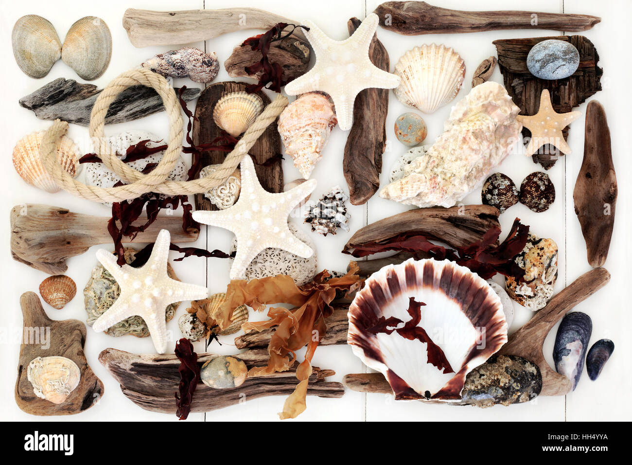 Collage abstracto del driftwood naturales, conchas, algas, cuerda y rocas de la playa sobre fondo blanco de madera. Foto de stock