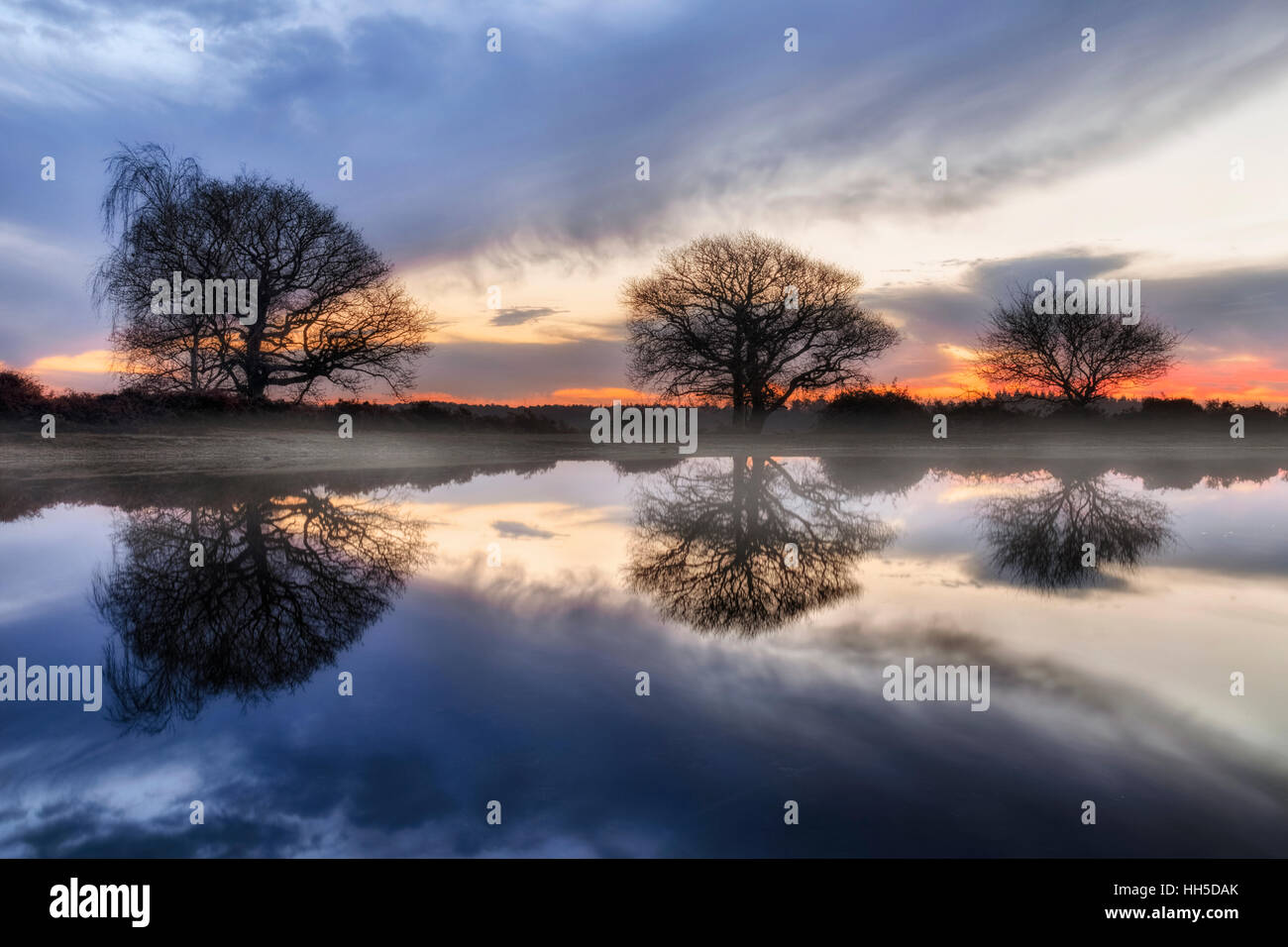 Amanecer en el estanque, Bratley Mogshade View, New Forest, Hampshire, Inglaterra Foto de stock