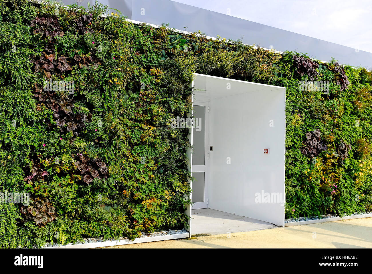 Arquitectura sostenible en exposición en la exposición Mundial 2015 en Milán, Italia con una pared completa de follaje vertical. Foto de stock