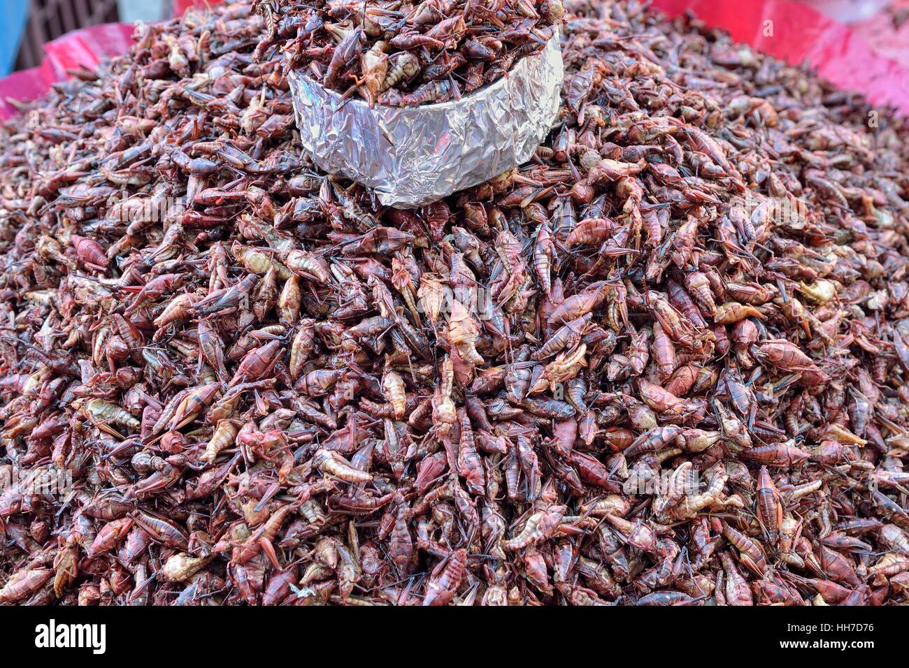 Saltamontes asados al mercado, Oaxaca, México Foto de stock