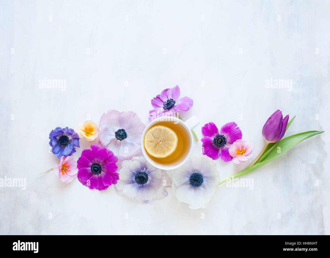 Sentar planas con flores de primavera establecidos en gris y blanco telón pintado con luz natural Foto de stock