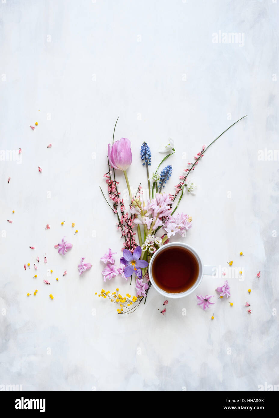 Té y flores de primavera - flatlay sobre pintado de color blanco y gris como telón de fondo, luz natural Foto de stock
