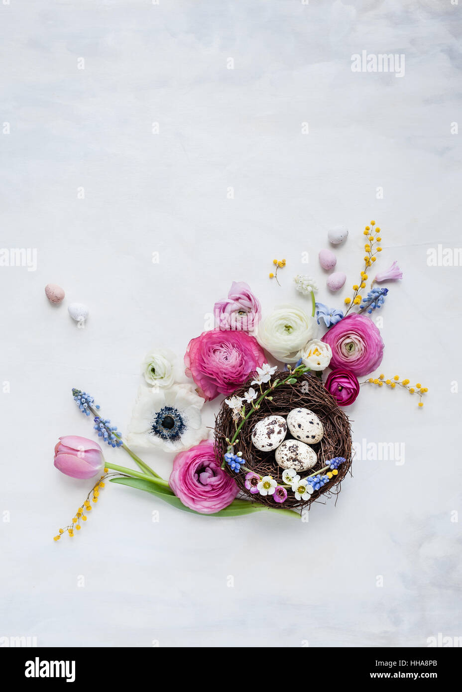 Nido de ave con huevos de codorniz y flores de primavera Foto de stock