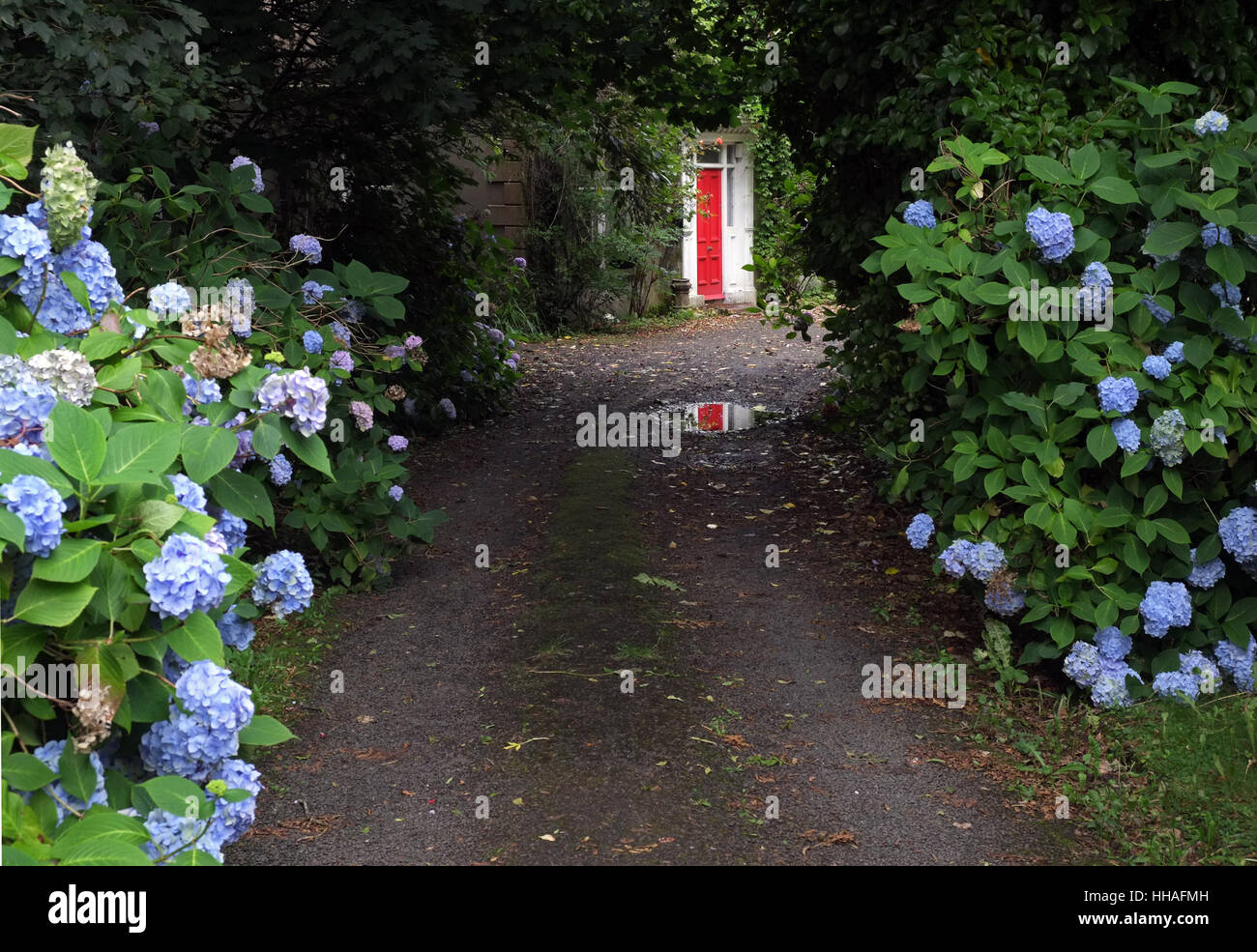 Lane en Falcarragh, Condado de Donegal. Foto de stock