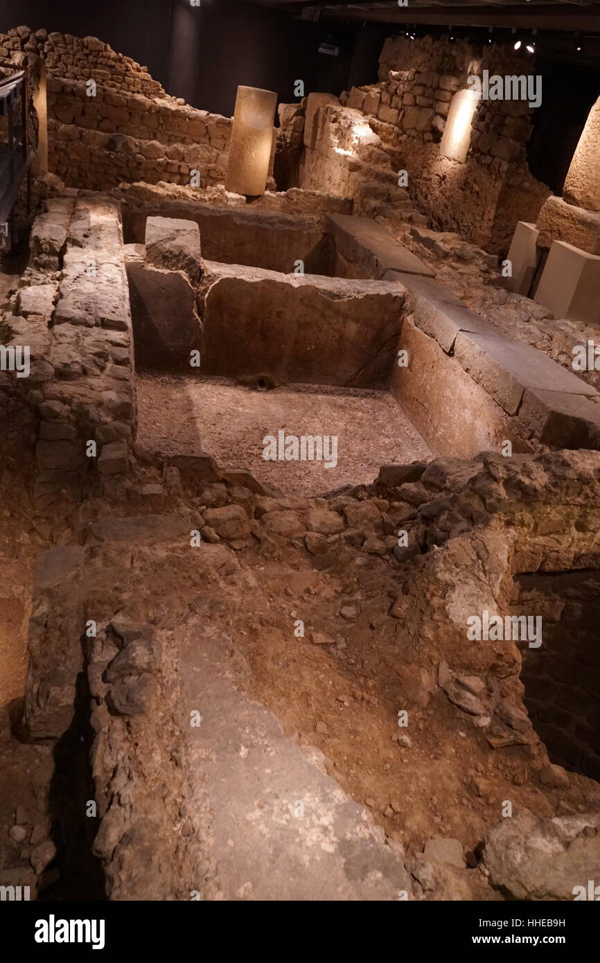 Los salazones y garum, fábrica de la ciudad romana, en Barcelona