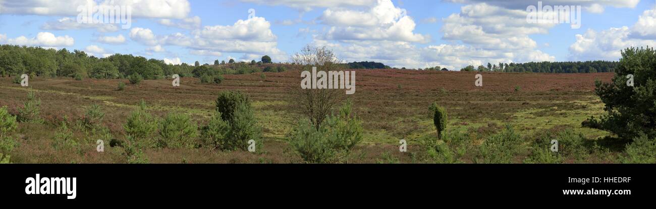 Conservación de la naturaleza, salud, caminos, ruta, camino, vacaciones, vacaciones, Foto de stock