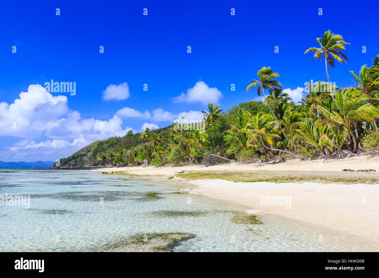 Dravuni Isla, Fiji. Playa y palmeras en el océano Pacífico Sur. Foto de stock