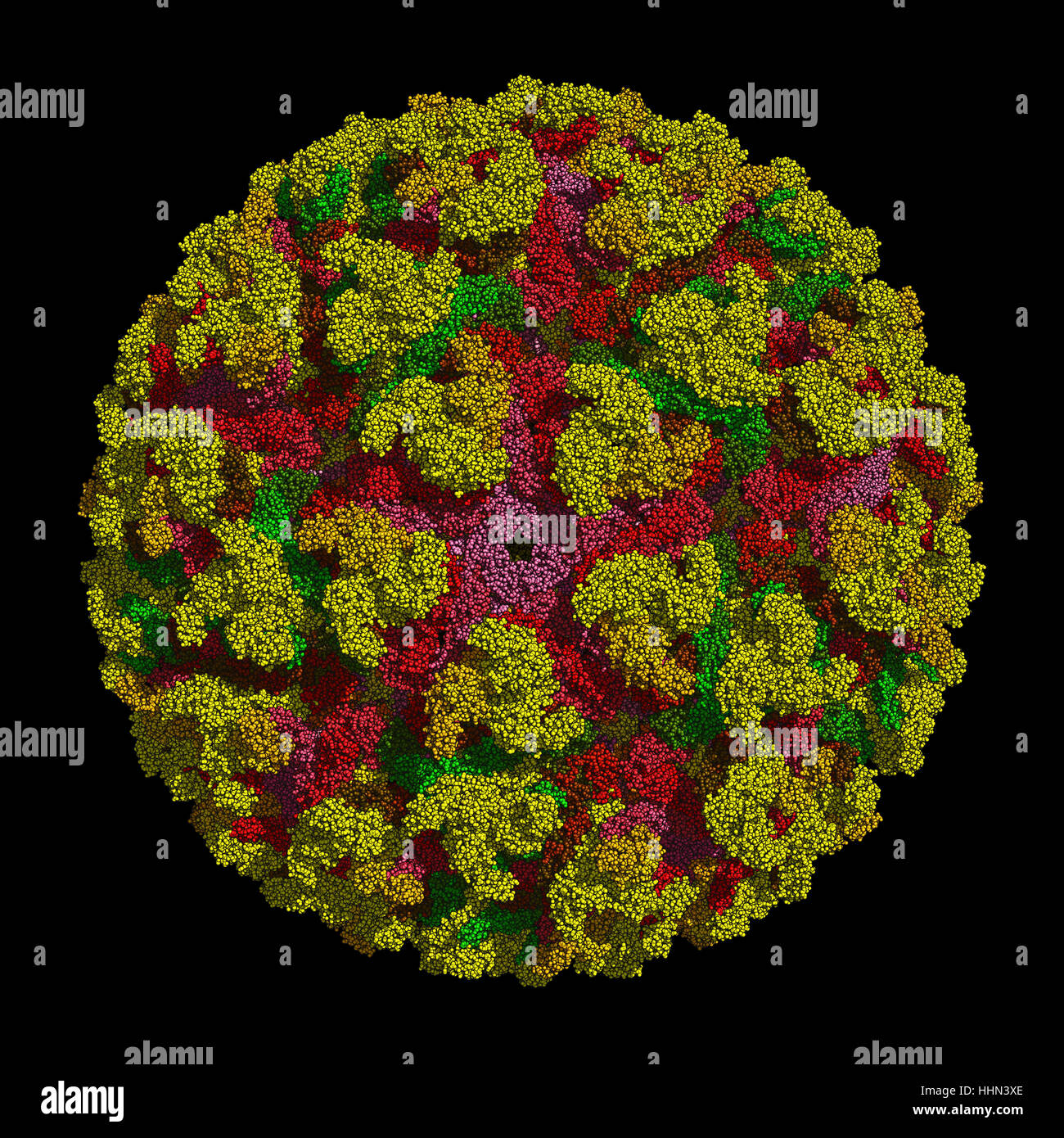 Virus Chikungunya que provoca el chikungunya enfermedad transmitida por los mosquitos Aedes. El HD 3D modelo muestra la estructura a nivel atómico. Foto de stock