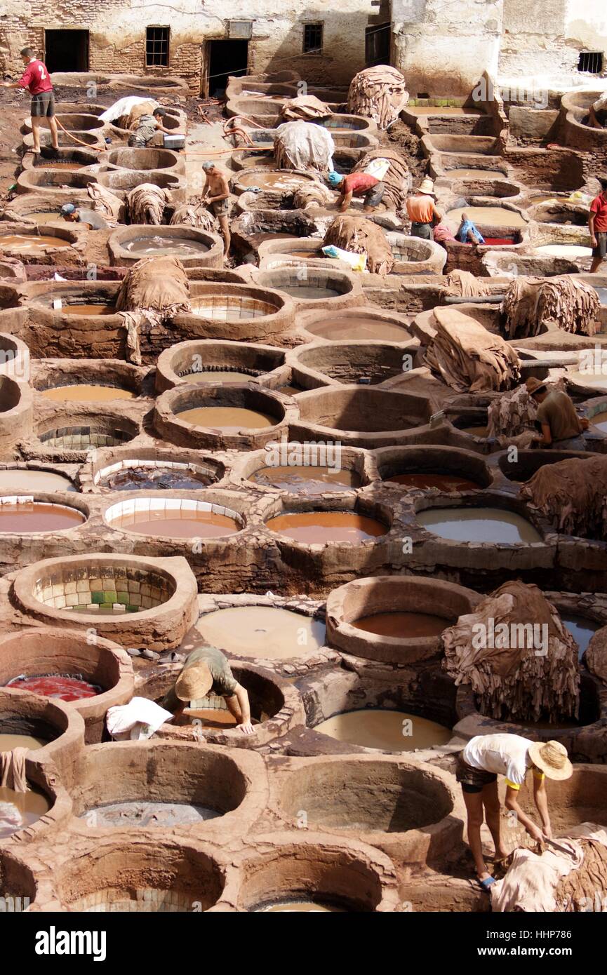Trabajadores que mueren rawhide en cubas en Fez, Marruecos tenería. Foto de stock