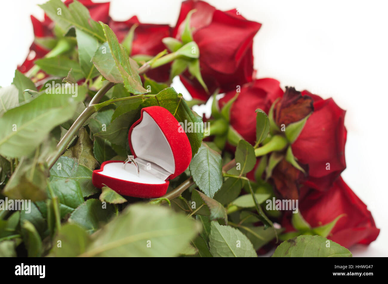 Bouquet de rosas rojas con un anillo de compromiso en una caja en forma de  corazón sobre fondo blanco aislado Fotografía de stock - Alamy