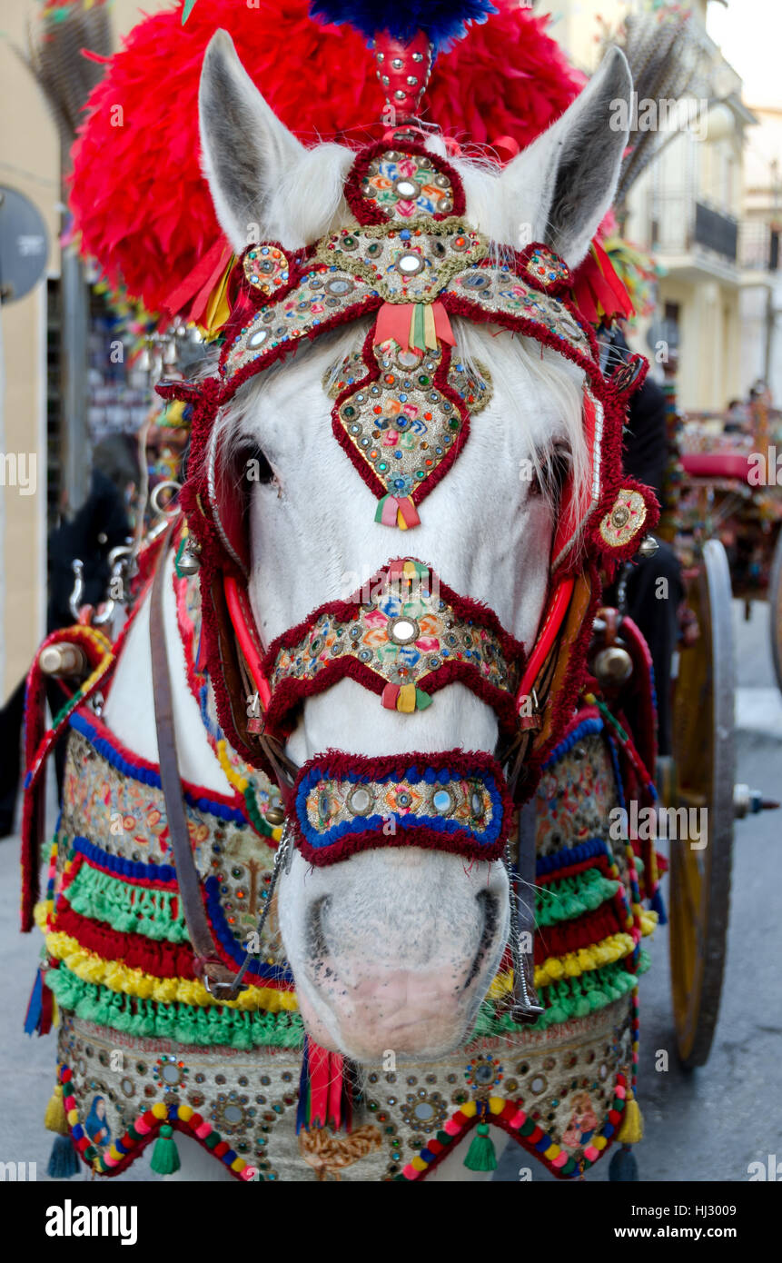 Decoraciones para caballos fotografías e imágenes de alta resolución - Alamy