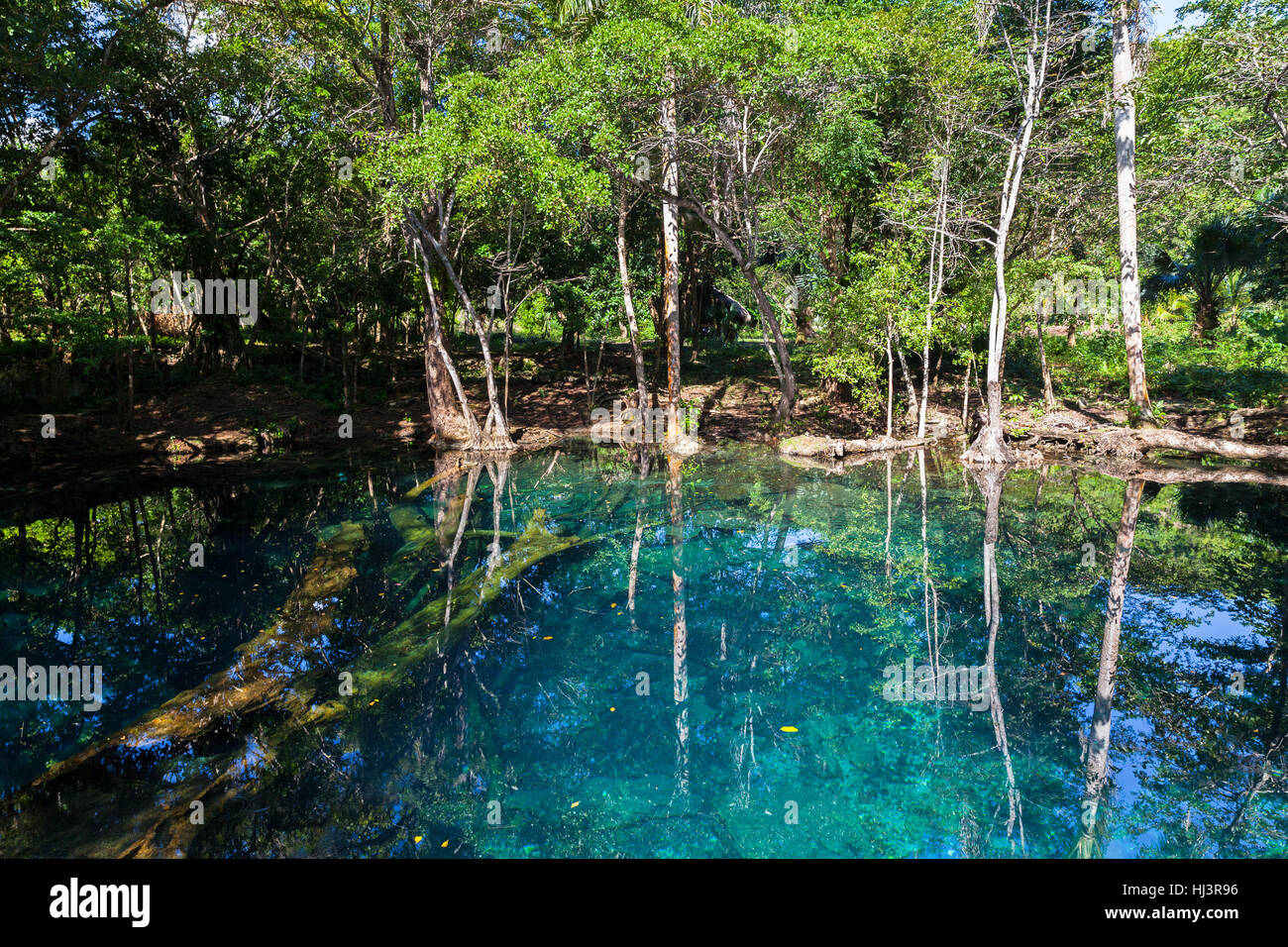 Pequeño lago en el bosque tropical, paisaje natural de República Dominicana Foto de stock