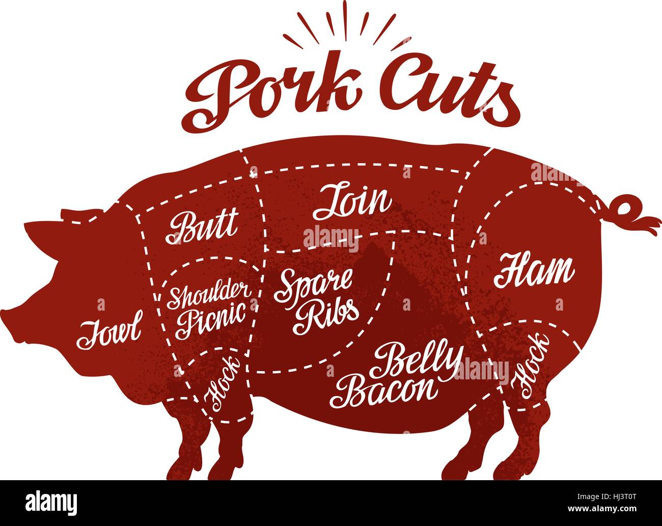 Carnicería. Los cortes de cerdo. Ilustración vectorial Ilustración del Vector