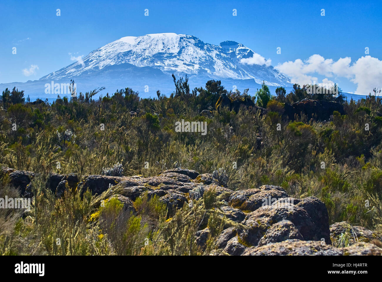El monte Kilimanjaro, en vista del Pico Kibo desde Shira Plateau Foto de stock