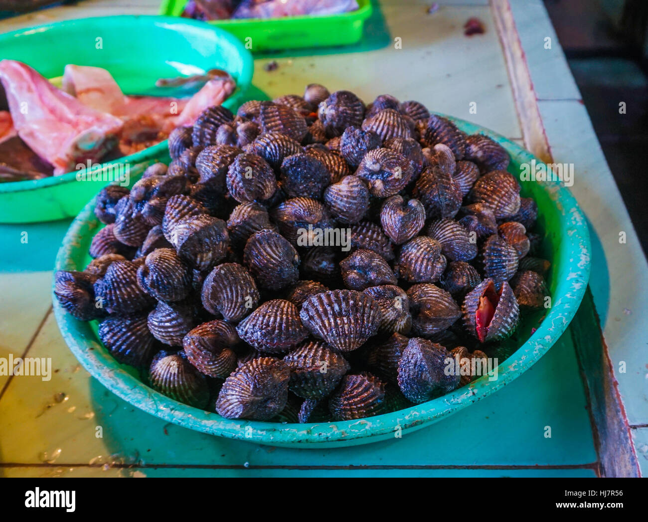 Hard Shell almejas vendidos por pescadería foto tomada en Yakarta, Indonesia Foto de stock