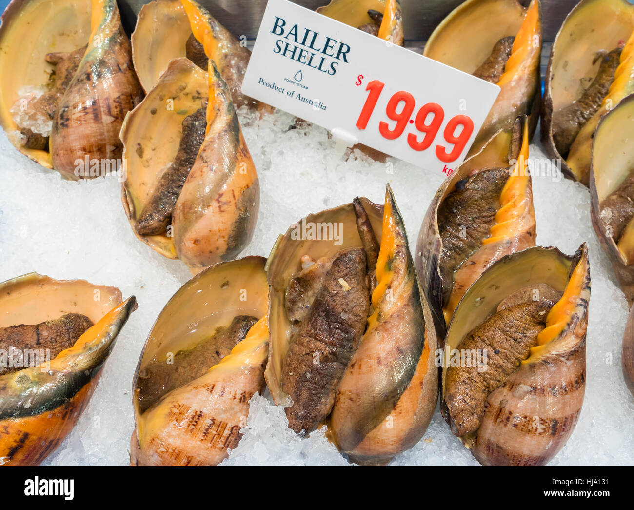 Los caracoles de mar en un mercado de mariscos Foto de stock