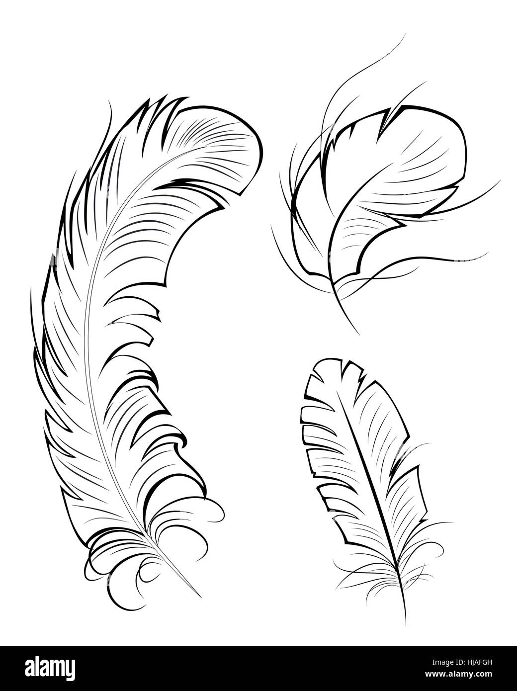 El contorno dibujado, artístico, original de tres plumas en un fondo blanco  Imagen Vector de stock - Alamy