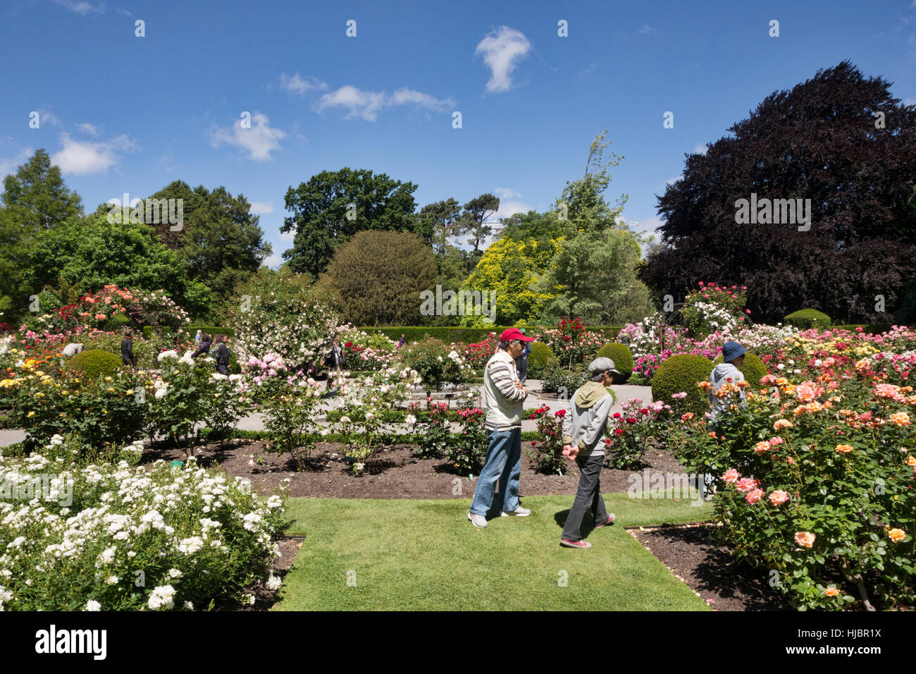 Los visitantes en el Rose Garden, los Jardines Botánicos de Christchurch, Christchurch, Nueva Zelanda Foto de stock