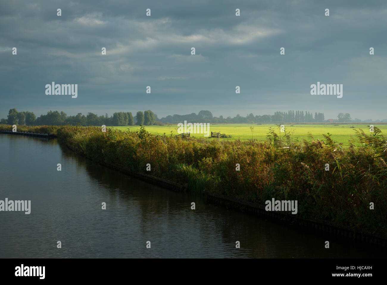 Prados y reed en Lake District de Frisia, Países Bajos Foto de stock