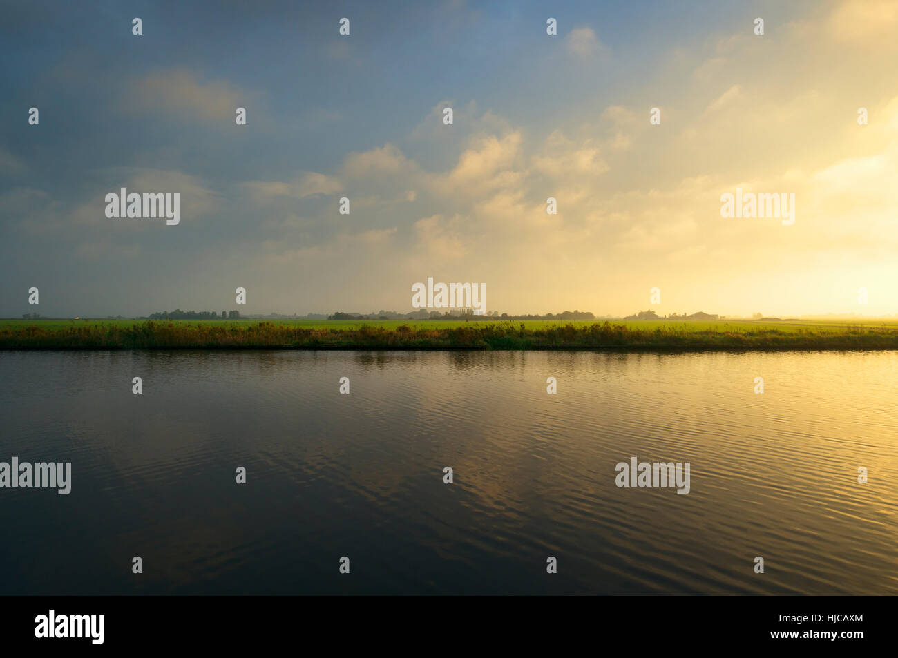 Prados y reed en Lake District de Frisia, Países Bajos Foto de stock