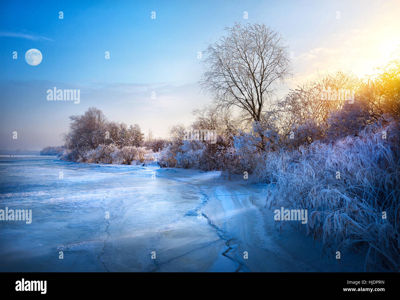 Hermoso fondo de invierno; paisaje de invierno en una helada hoar Foto de stock