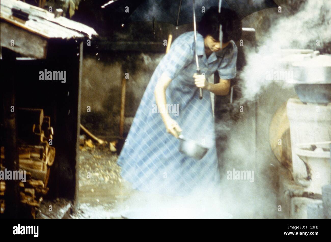 El Tiempo Para Vivir Y Tiempo Para Morir Tong Nien Wang Shi Ano 1985 Director Taiwan Hou Hsiao Hsien Shu Fen Hsin Fotografia De Stock Alamy El Tiempo Para Vivir Y Tiempo Para Morir Tong Nien Wang Shi Ano 1985 Director Taiwan Hou Hsiao Hsien Shu Fen Hsin Fotografia De Stock Alamy