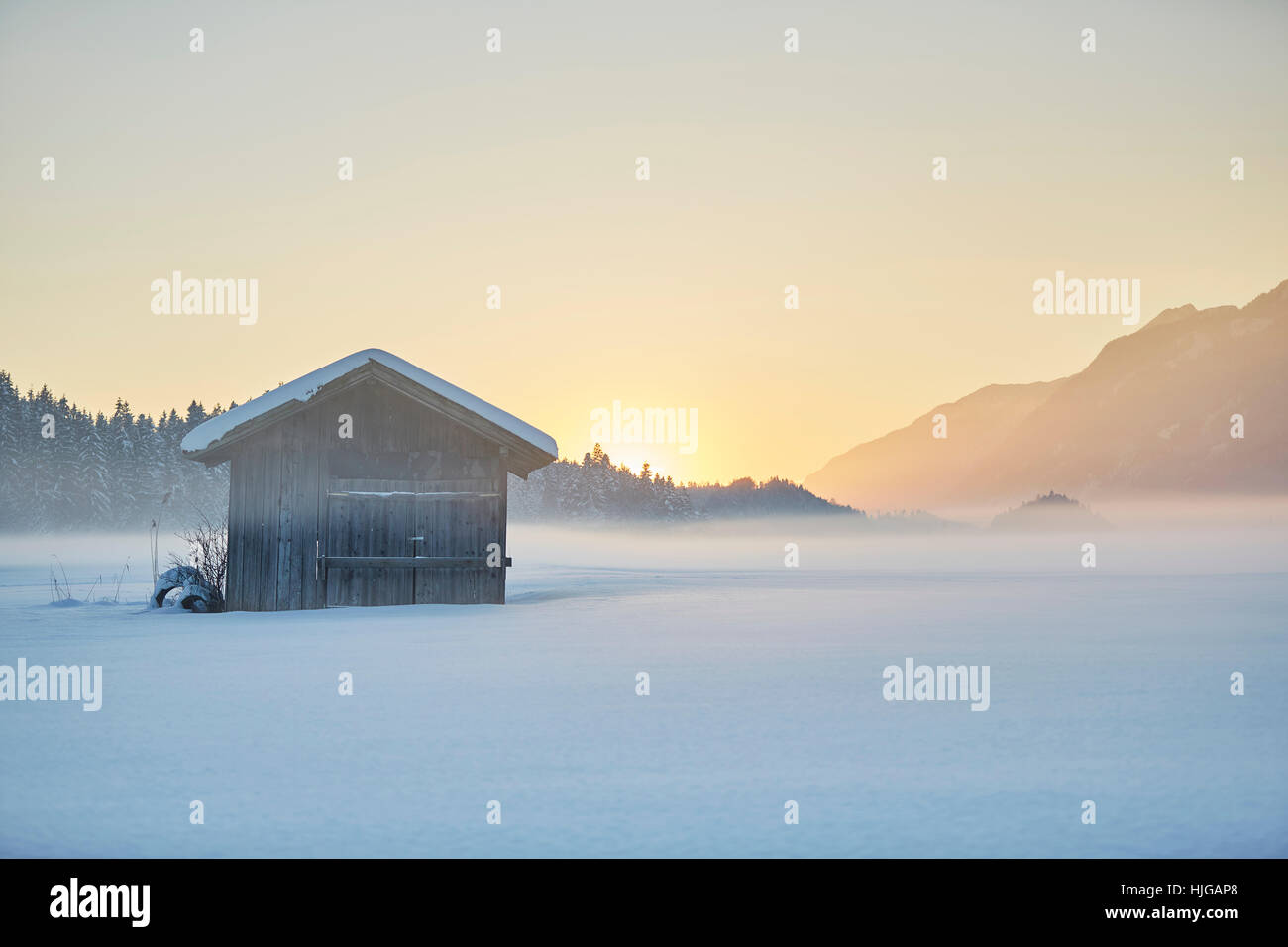 Pequeña cabaña, paisaje de invierno, granero del heno en la niebla al atardecer, Kramsach, Tirol, Austria Foto de stock