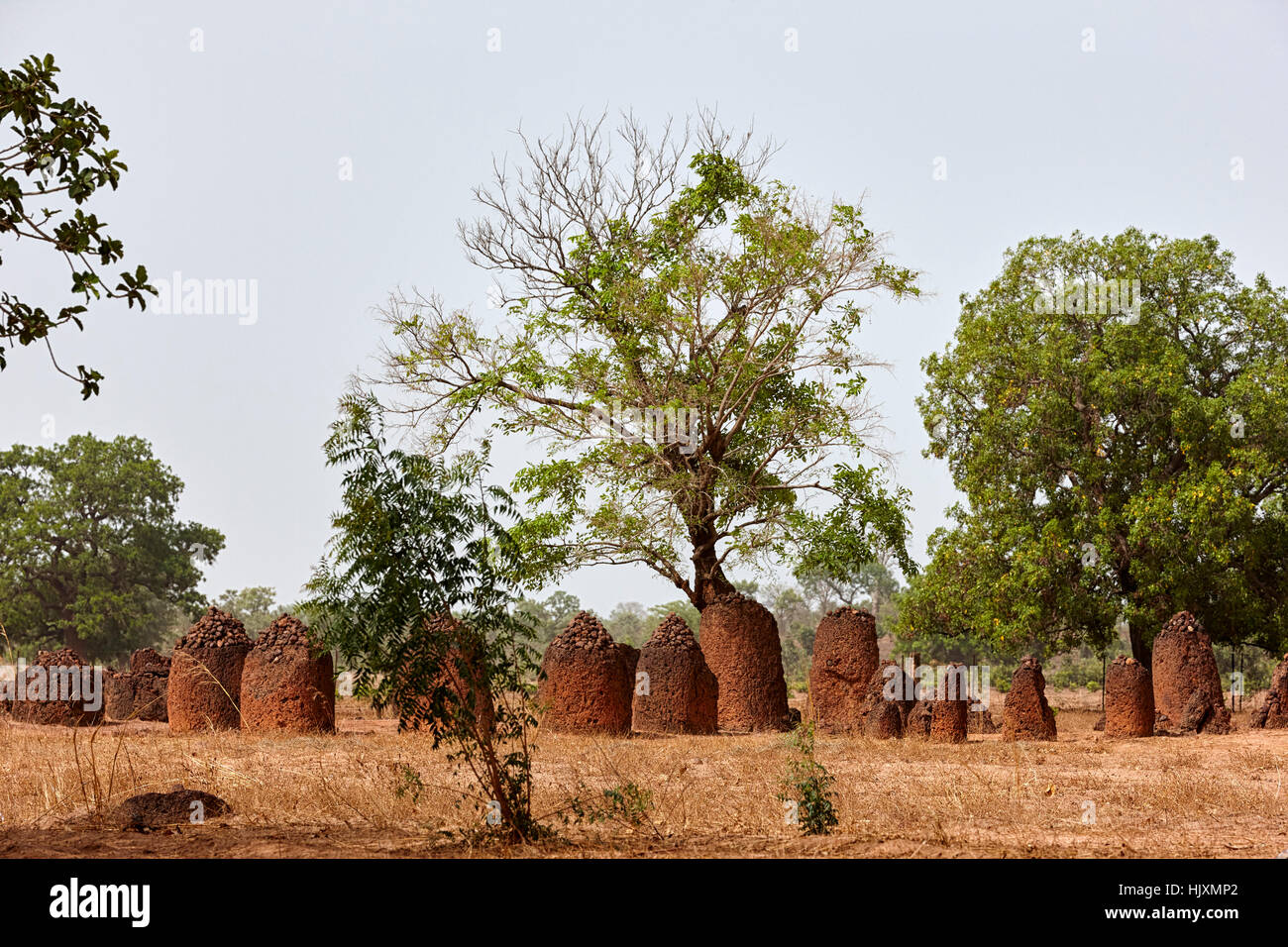 Círculos de piedra Wassu, Sitio del Patrimonio Mundial de la UNESCO, Gambia, África Foto de stock