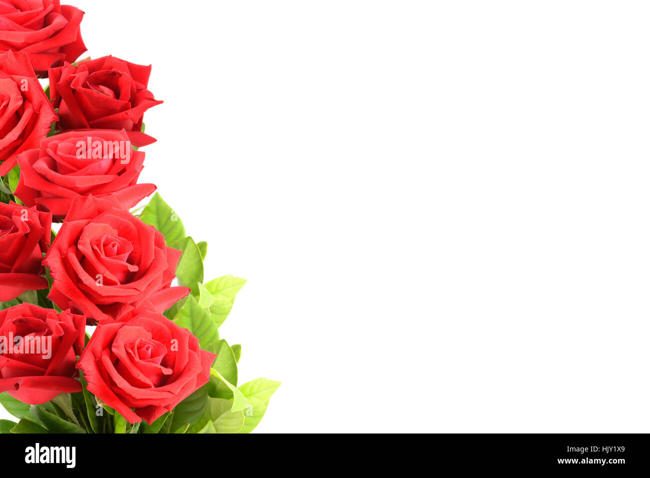Rosas para san valentin fotografías e imágenes de alta resolución - Alamy