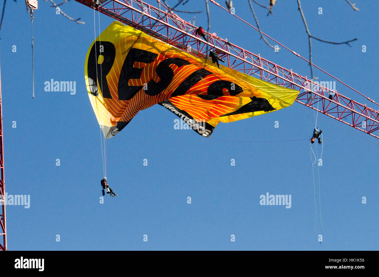 Washington, Estados Unidos. 25 ene, 2017. Cuatro manifestantes de Greenpeace como viento látigos banner. Crédito: Angela Drake/Alamy Live News Foto de stock
