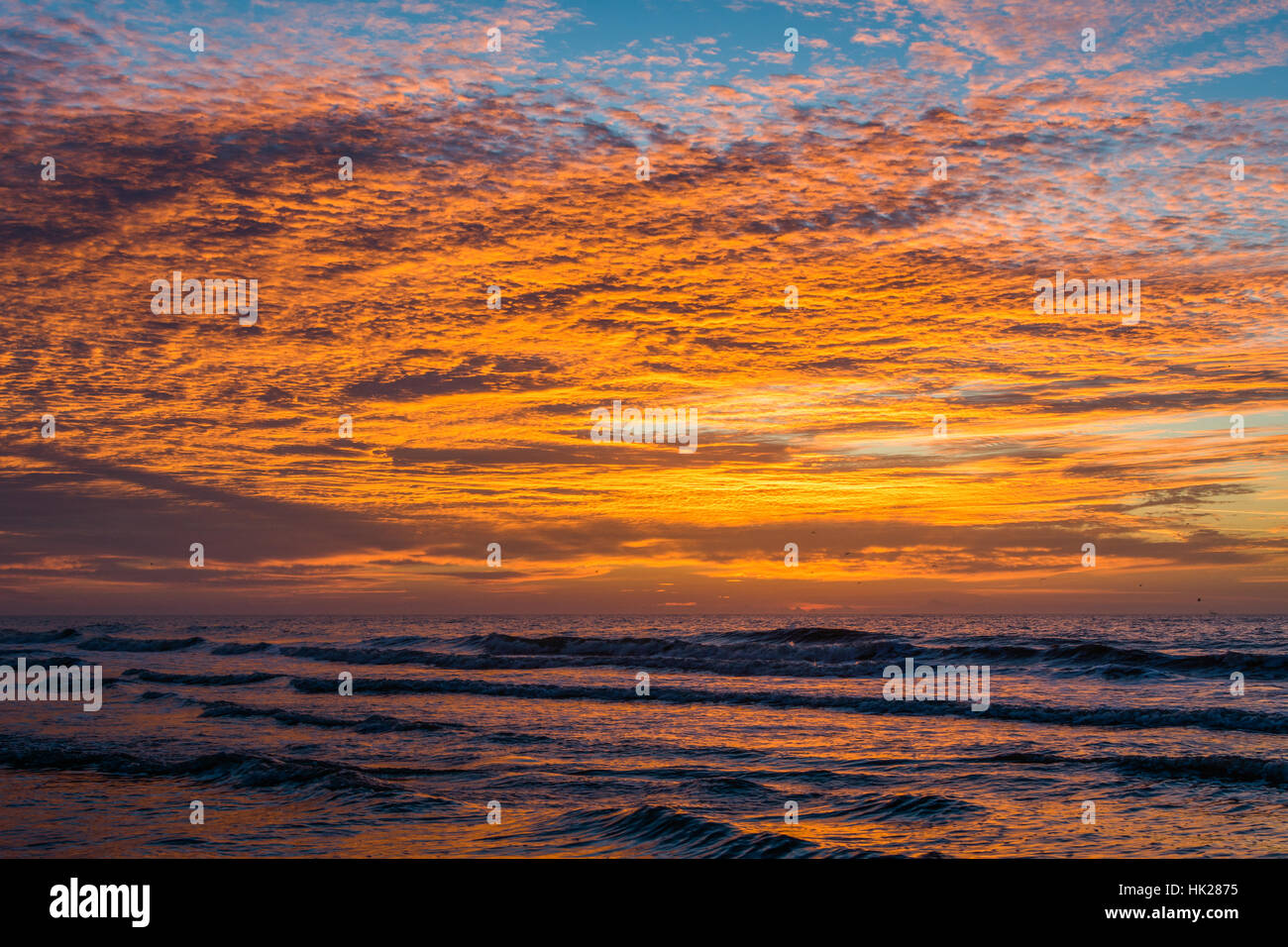 Olas del Océano Atlántico al amanecer, en Folly Beach, Carolina del Sur. Foto de stock
