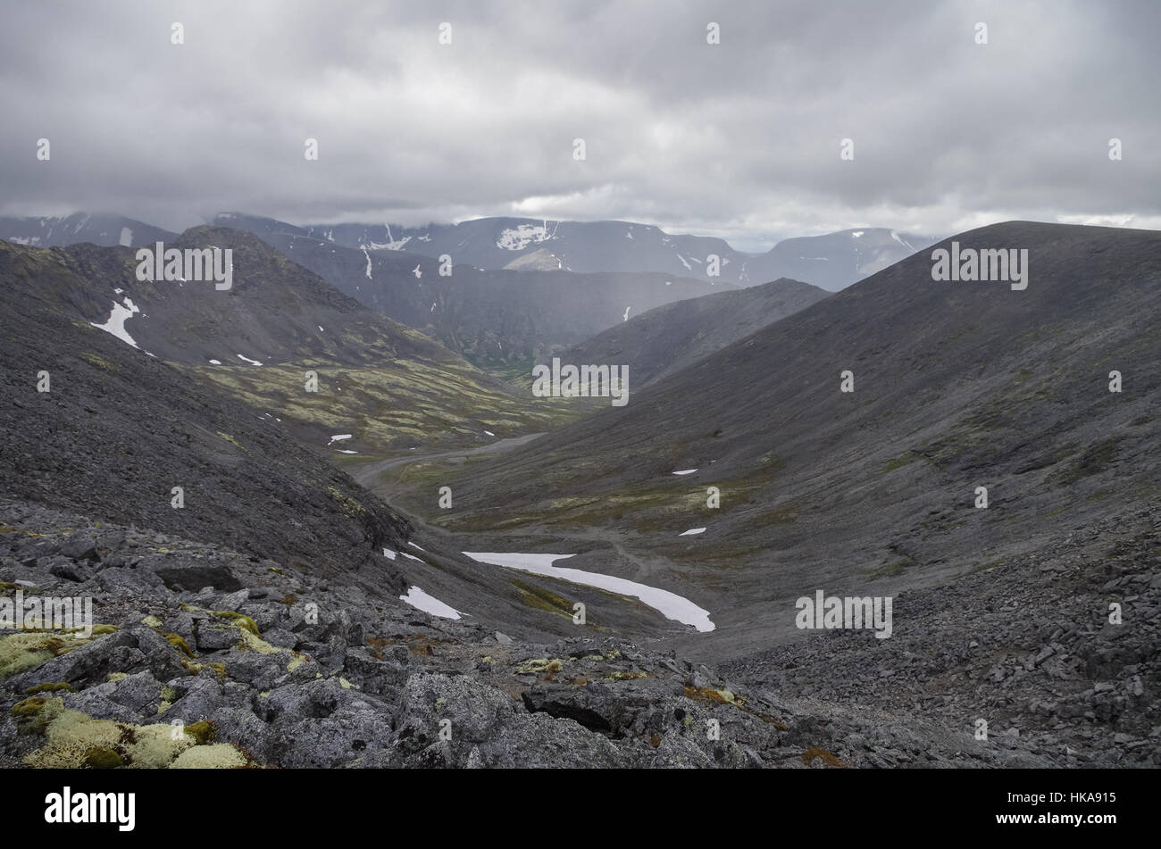 valle de montaña con rocas cubiertas de musgos y líquenes nublado