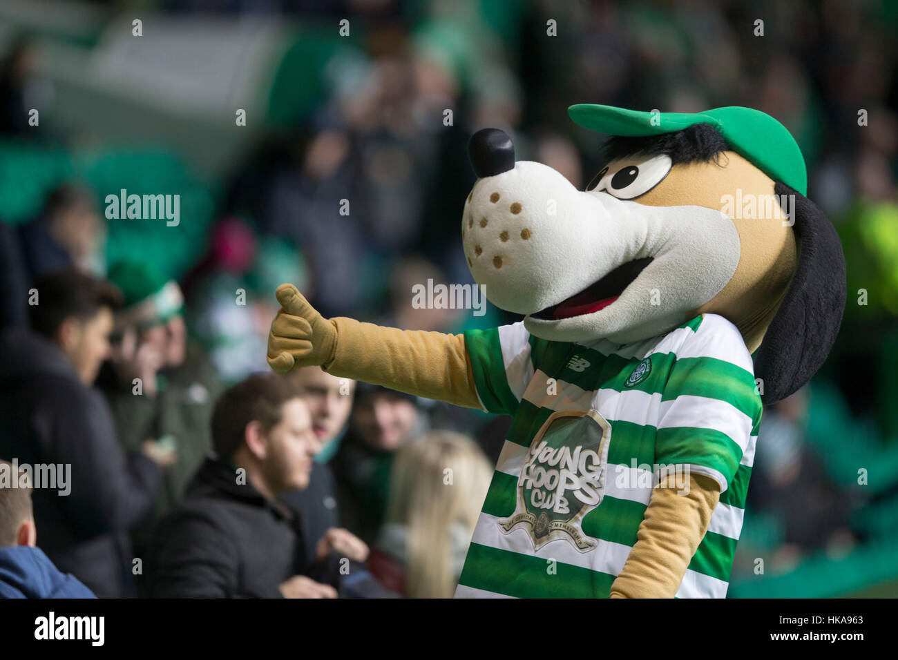 Mascota celta Hoppy se apiñan Hound durante el partido de Premiership  Escocés de Ladbrokes en el Celtic Park, Glasgow Fotografía de stock - Alamy