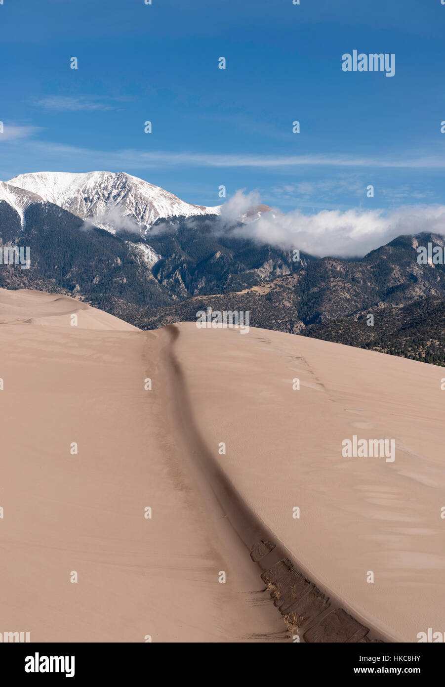 Gran Parque Nacional de las dunas de arena en el suroeste de Colorado Foto de stock