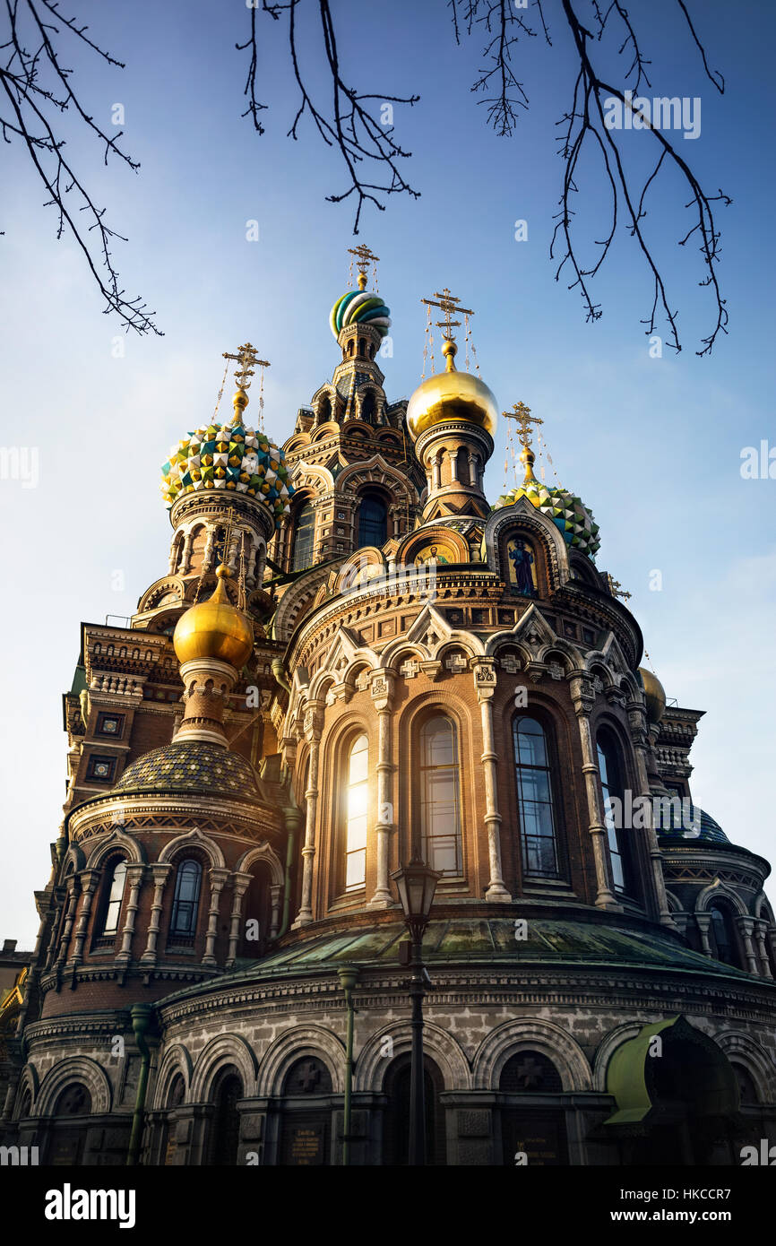 Cúpula y cruces de la iglesia San Salvador de la sangre derramada en San Petersburgo, Rusia Foto de stock