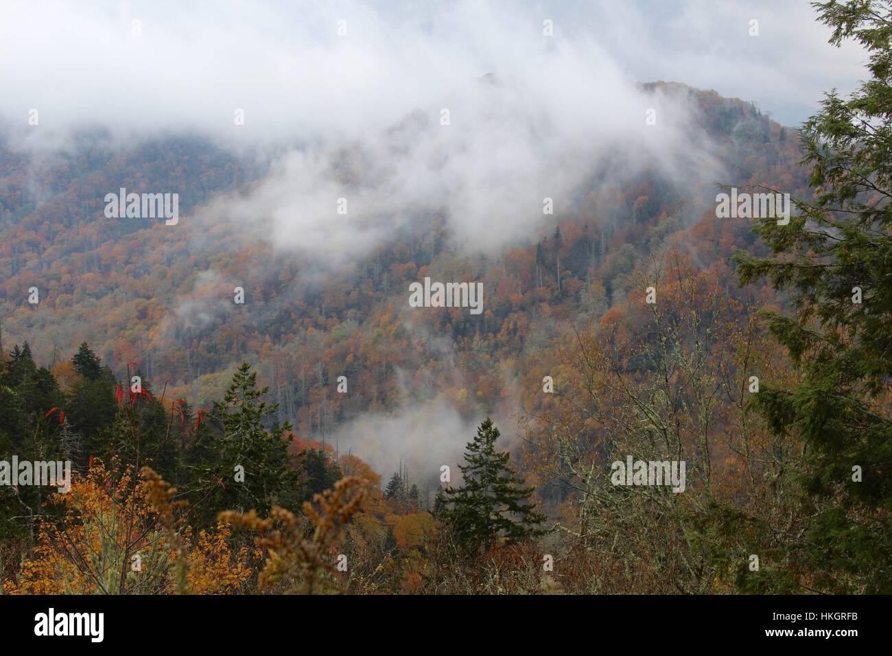 La niebla en el valle de las montañas. Foto de stock