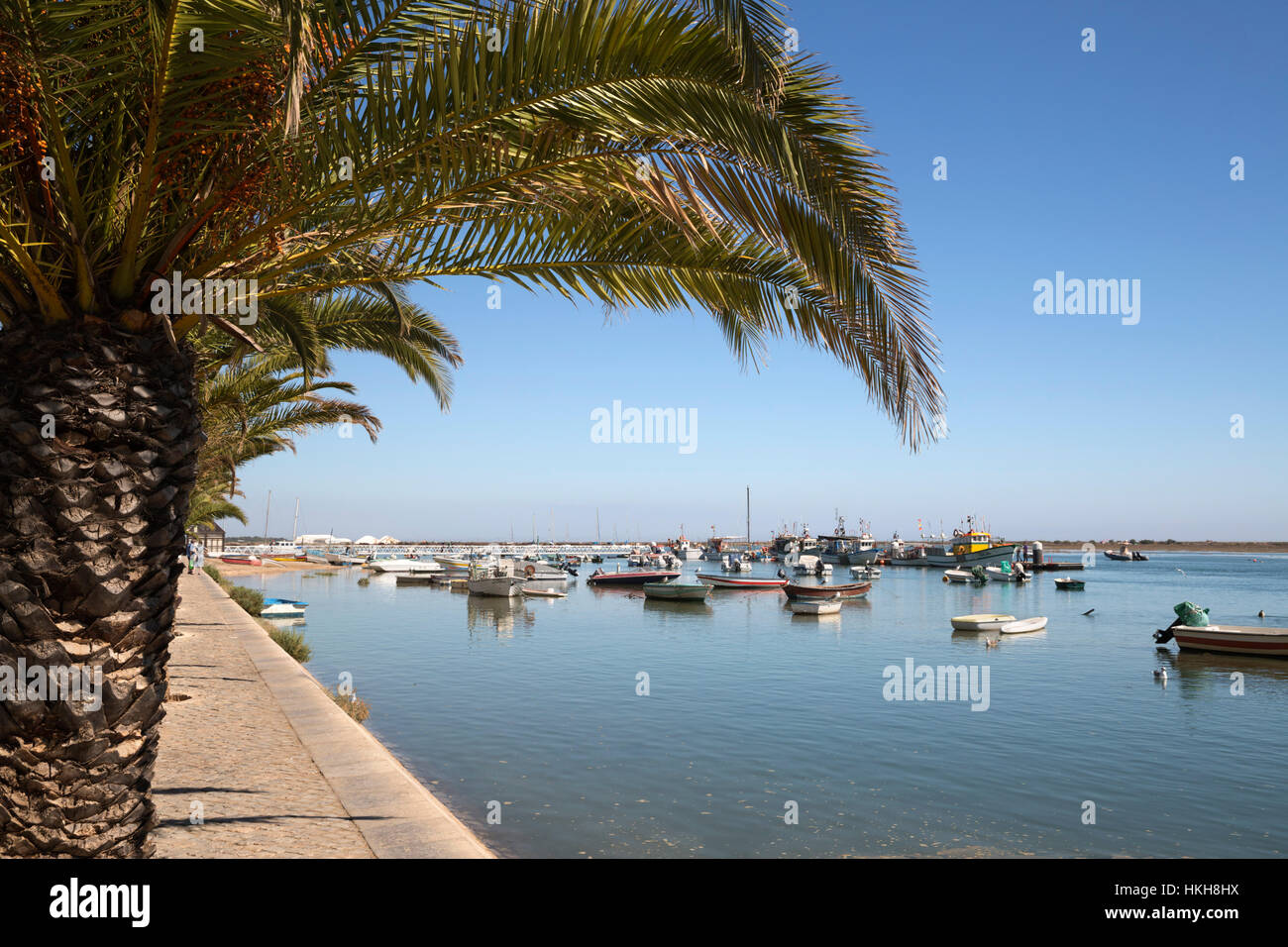 Paseo marítimo cubierto de palmeras de pueblo pesquero conocido como capital de pulpo (capital do polvo), Santa Luzia, Algarve, Portugal, Europa Foto de stock