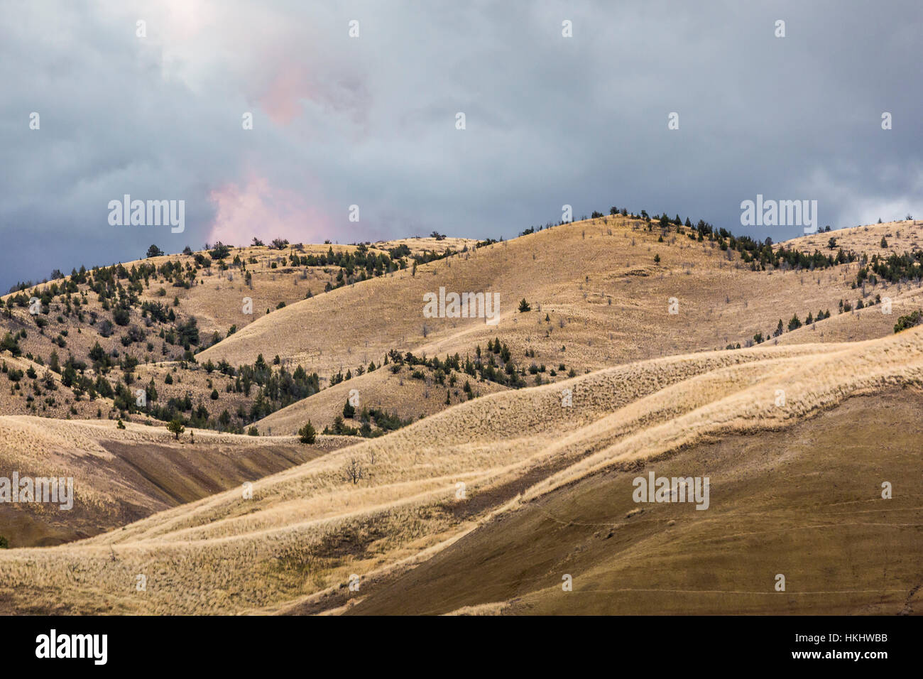 Colinas cubiertas de tierra fotografías e imágenes de alta resolución -  Alamy