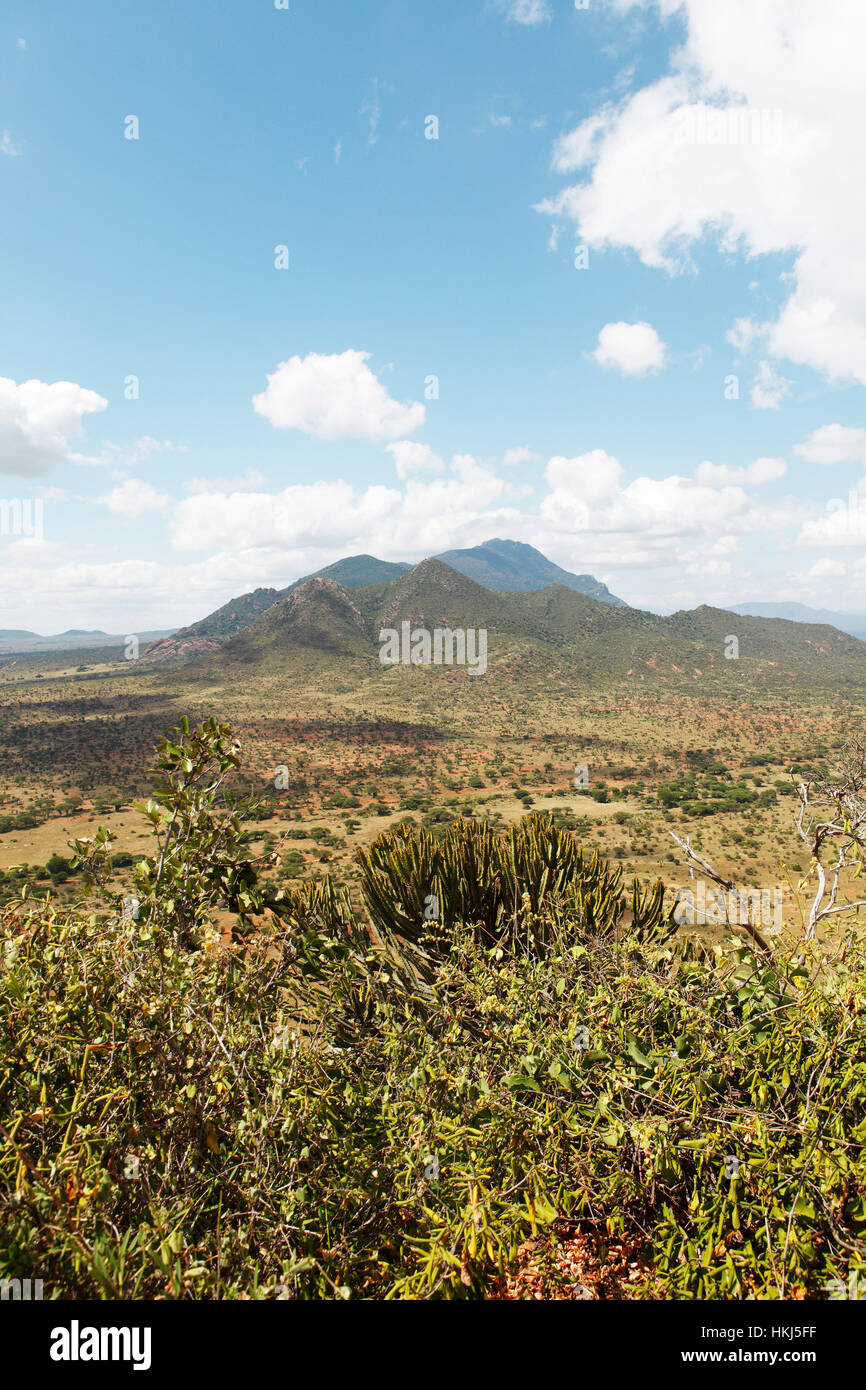 Ngulia Hills, Tsavo West National Park, Condado Taita-Taveta, Kenya Foto de stock