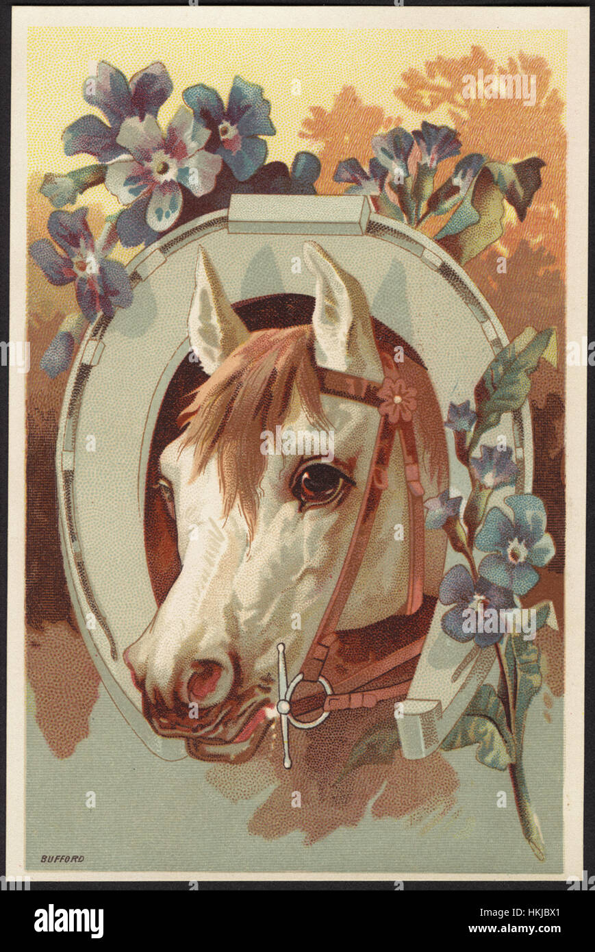 Caballo con cabeza a través de herradura, flores en la cabeza Fotografía de stock - Alamy Caballo con cabeza a través de herradura, flores en la cabeza Fotografía de stock - Alamy